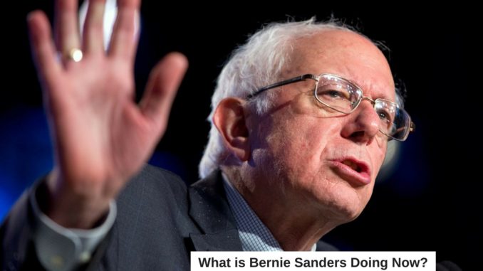 What is Bernie Sanders Doing Now