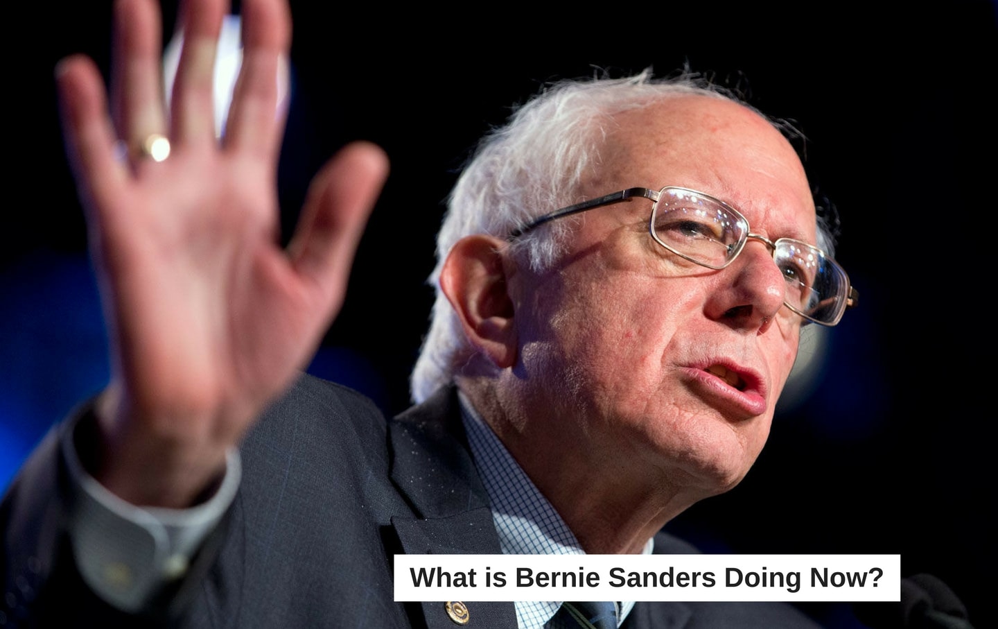 What Is Bernie Sanders Doing Now?