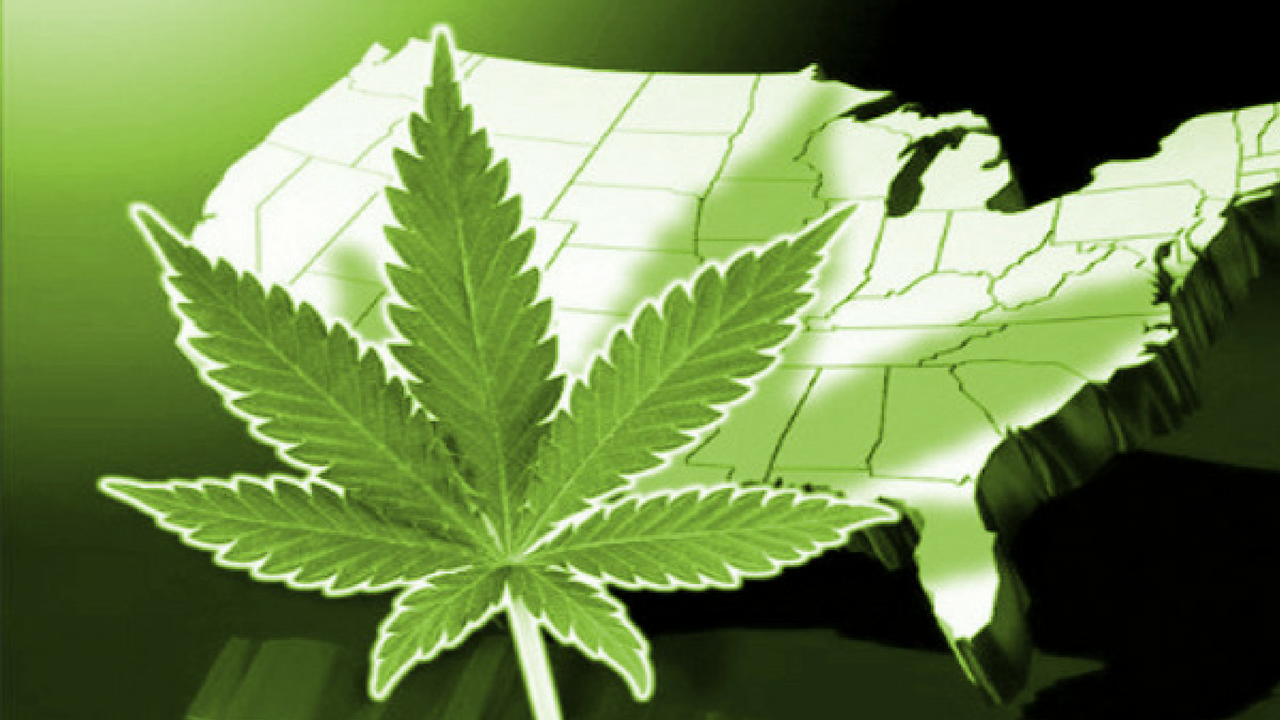 The Case for National Marijuana Legalization